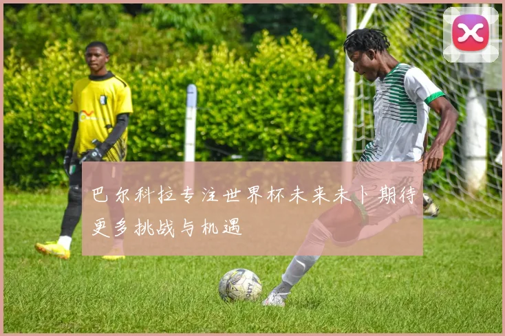 巴尔科拉专注世界杯未来未卜期待更多挑战与机遇