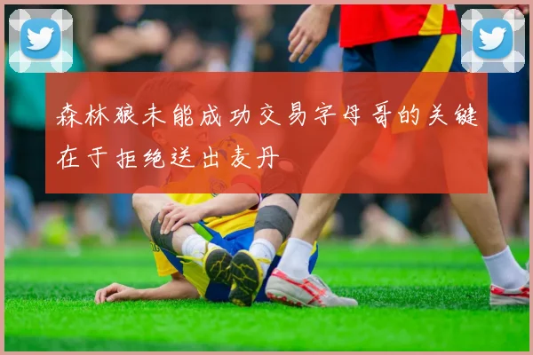 森林狼未能成功交易字母哥的关键在于拒绝送出麦丹